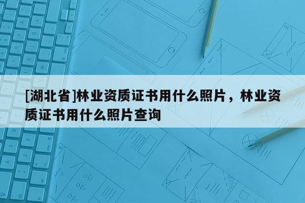 [湖北省]林業(yè)資質(zhì)證書用什么照片，林業(yè)資質(zhì)證書用什么照片查詢