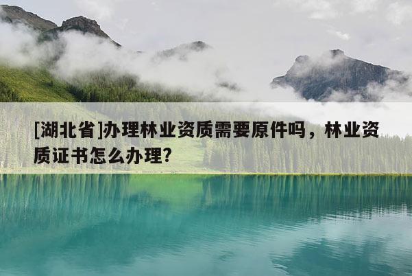 [湖北省]辦理林業(yè)資質(zhì)需要原件嗎，林業(yè)資質(zhì)證書(shū)怎么辦理?