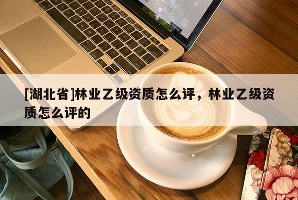 [湖北省]林業(yè)乙級(jí)資質(zhì)怎么評(píng)，林業(yè)乙級(jí)資質(zhì)怎么評(píng)的