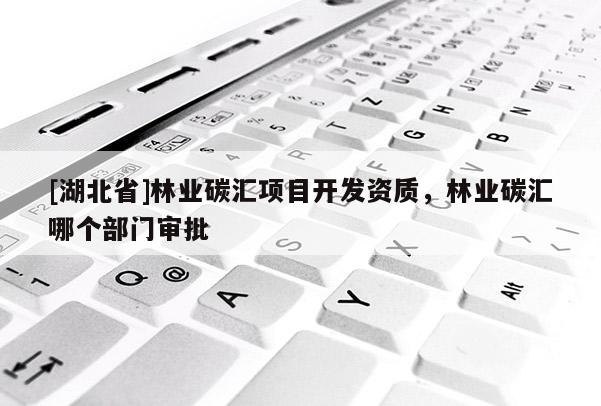 [湖北省]林業(yè)碳匯項(xiàng)目開發(fā)資質(zhì)，林業(yè)碳匯哪個(gè)部門審批