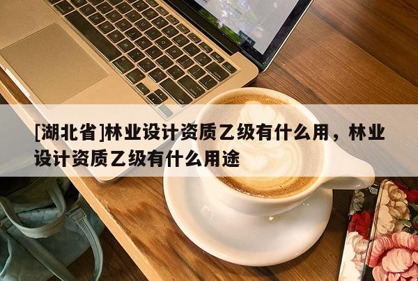 [湖北省]林業(yè)設(shè)計資質(zhì)乙級有什么用，林業(yè)設(shè)計資質(zhì)乙級有什么用途