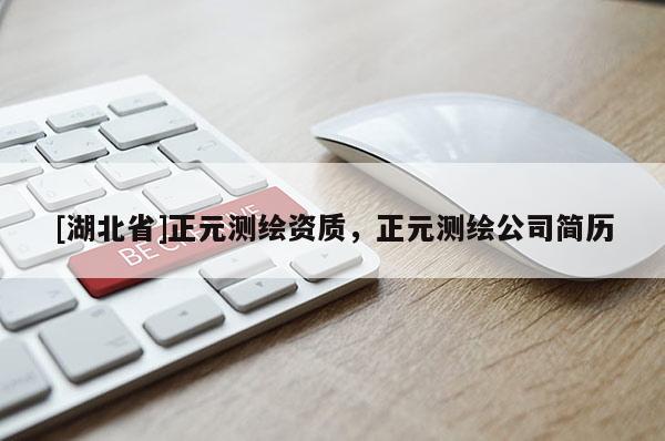 [湖北省]正元測繪資質，正元測繪公司簡歷
