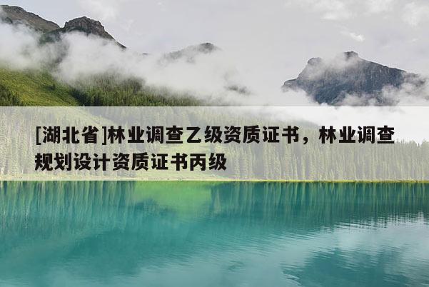 [湖北省]林業(yè)調(diào)查乙級資質(zhì)證書，林業(yè)調(diào)查規(guī)劃設(shè)計(jì)資質(zhì)證書丙級