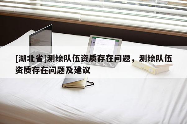 [湖北省]測(cè)繪隊(duì)伍資質(zhì)存在問題，測(cè)繪隊(duì)伍資質(zhì)存在問題及建議