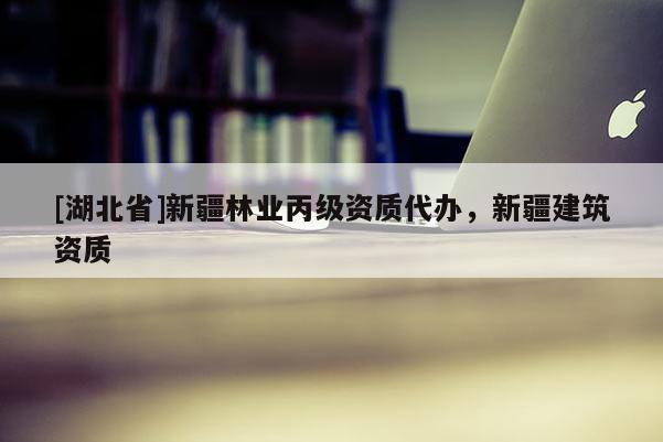 [湖北省]新疆林業(yè)丙級資質(zhì)代辦，新疆建筑資質(zhì)