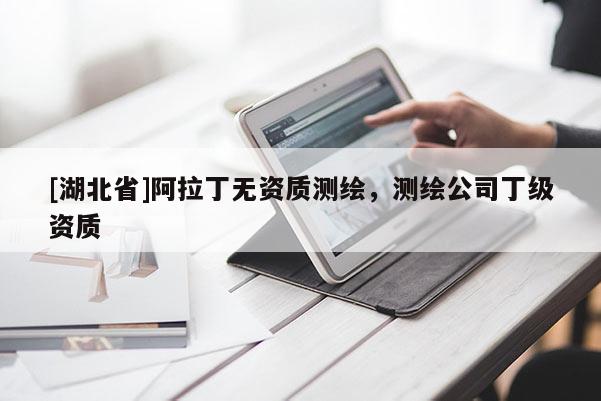 [湖北省]阿拉丁無資質(zhì)測繪，測繪公司丁級資質(zhì)