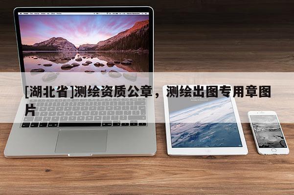 [湖北省]測繪資質(zhì)公章，測繪出圖專用章圖片