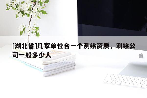 [湖北省]幾家單位合一個(gè)測(cè)繪資質(zhì)，測(cè)繪公司一般多少人
