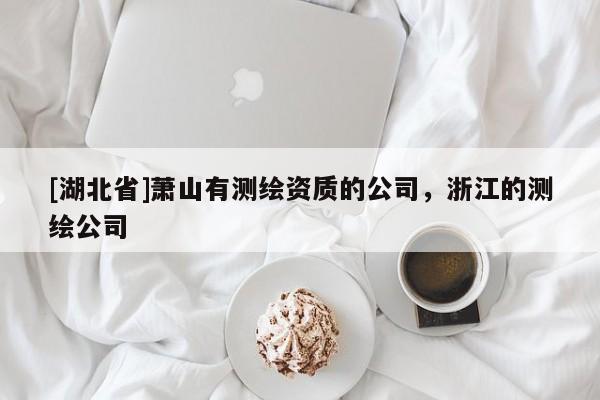 [湖北省]蕭山有測(cè)繪資質(zhì)的公司，浙江的測(cè)繪公司