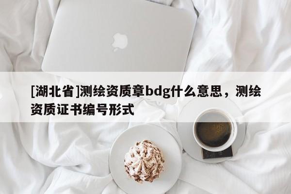 [湖北省]測(cè)繪資質(zhì)章bdg什么意思，測(cè)繪資質(zhì)證書(shū)編號(hào)形式