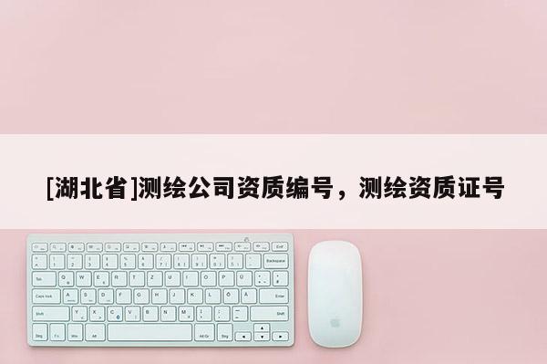 [湖北省]測(cè)繪公司資質(zhì)編號(hào)，測(cè)繪資質(zhì)證號(hào)