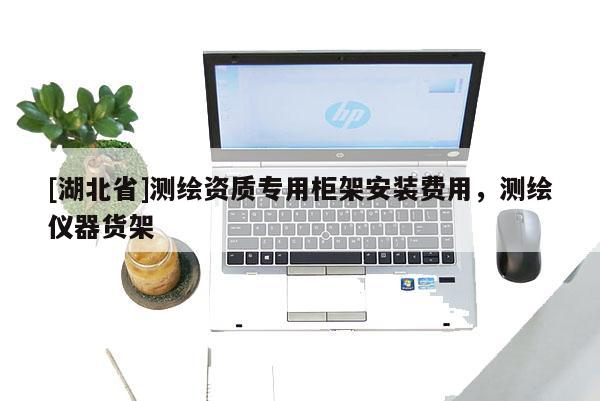 [湖北省]測繪資質(zhì)專用柜架安裝費用，測繪儀器貨架