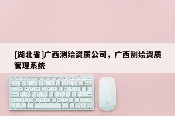 [湖北省]廣西測繪資質(zhì)公司，廣西測繪資質(zhì)管理系統(tǒng)