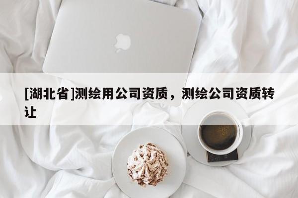 [湖北省]測繪用公司資質(zhì)，測繪公司資質(zhì)轉(zhuǎn)讓
