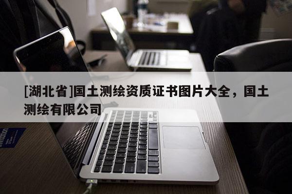 [湖北省]國(guó)土測(cè)繪資質(zhì)證書圖片大全，國(guó)土測(cè)繪有限公司