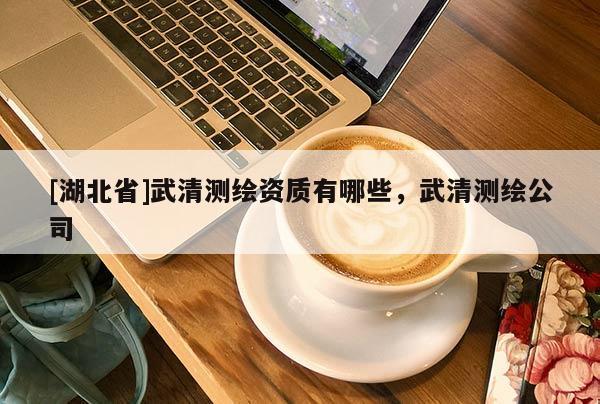 [湖北省]武清測(cè)繪資質(zhì)有哪些，武清測(cè)繪公司