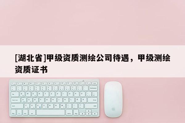 [湖北省]甲級(jí)資質(zhì)測(cè)繪公司待遇，甲級(jí)測(cè)繪資質(zhì)證書(shū)