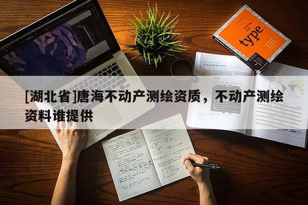 [湖北省]唐海不動(dòng)產(chǎn)測(cè)繪資質(zhì)，不動(dòng)產(chǎn)測(cè)繪資料誰(shuí)提供