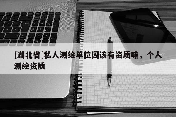 [湖北省]私人測繪單位因該有資質嘛，個人測繪資質