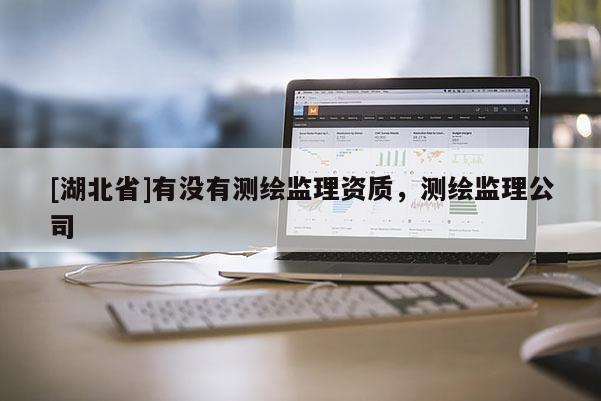 [湖北省]有沒有測繪監(jiān)理資質，測繪監(jiān)理公司