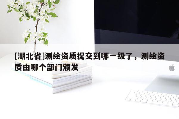 [湖北省]測(cè)繪資質(zhì)提交到哪一級(jí)了，測(cè)繪資質(zhì)由哪個(gè)部門頒發(fā)
