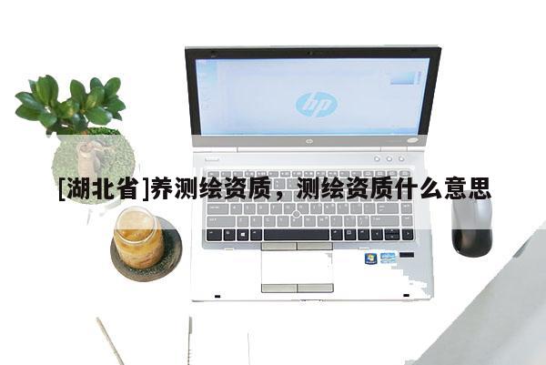 [湖北省]養(yǎng)測繪資質(zhì)，測繪資質(zhì)什么意思