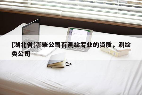 [湖北省]哪些公司有測繪專業(yè)的資質(zhì)，測繪類公司