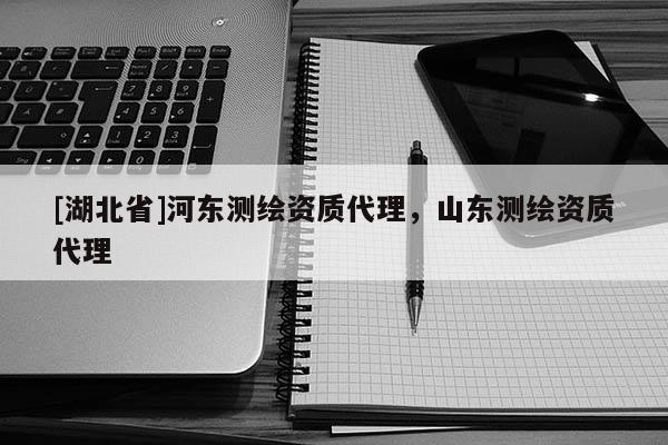 [湖北省]河東測繪資質(zhì)代理，山東測繪資質(zhì)代理